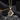 Gold-tone four-leaf clover necklace on dark stone against a black background